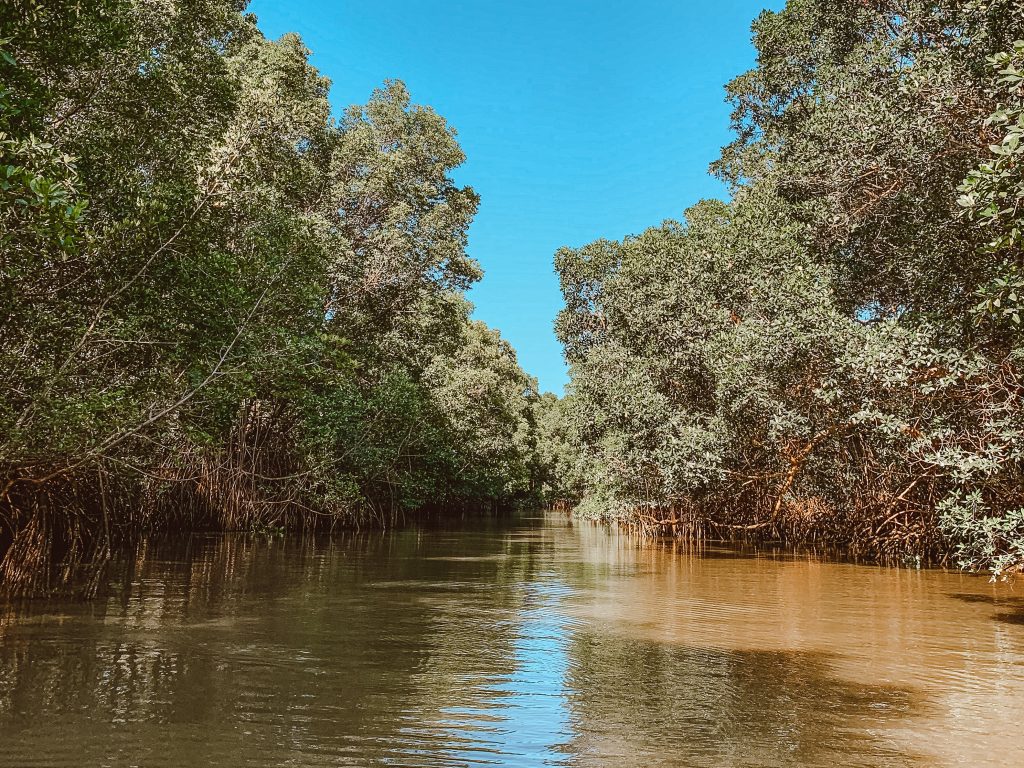 Um dos igarapés que encontramos no Delta do Parnaíba